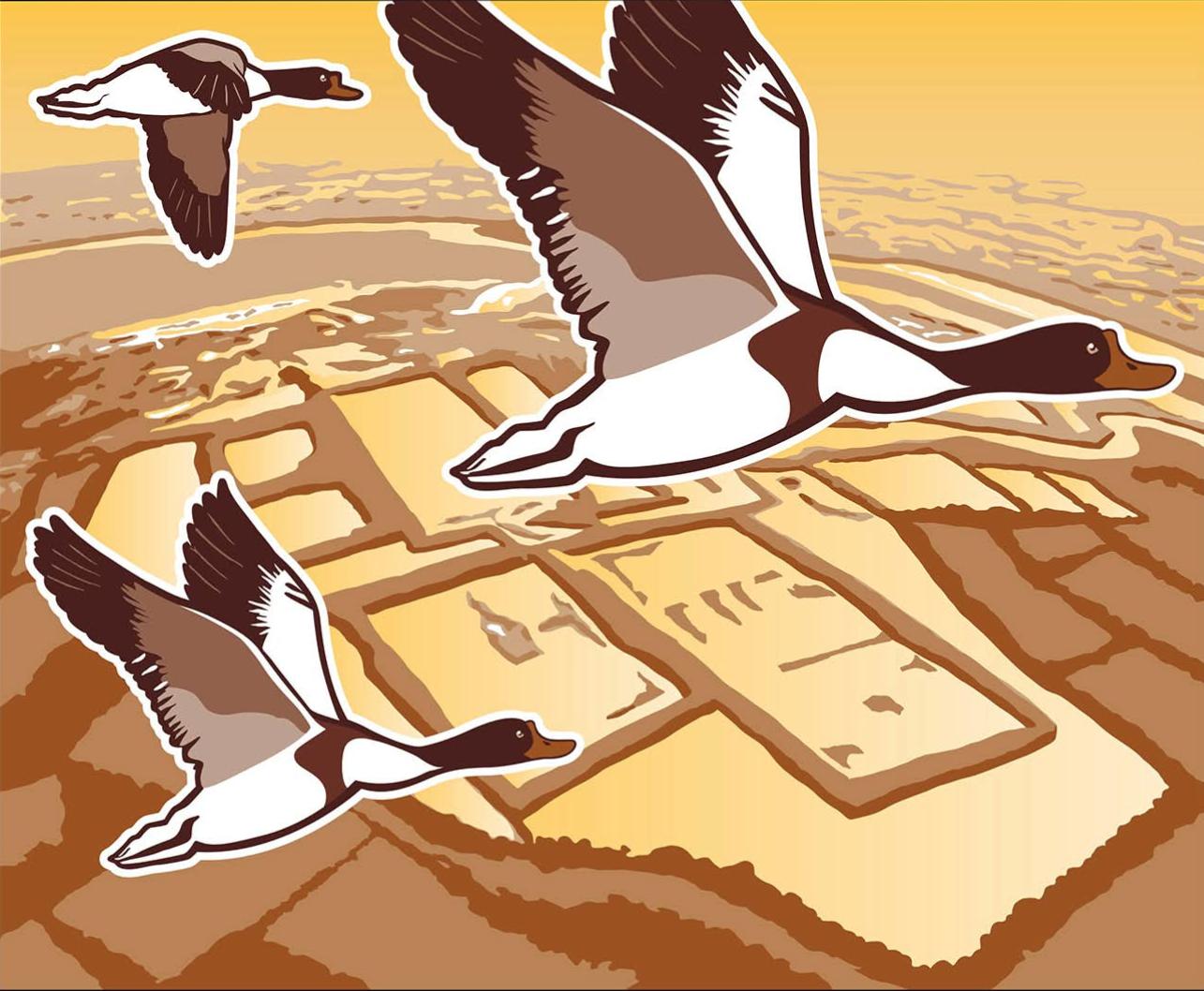 Photo du panneau : Réserve Naturelle des Marais de Séné